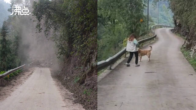 曾收养的流浪狗跳车拦住怀孕主人，救下一家三口