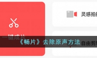 《畅片》攻略——去除原声方法